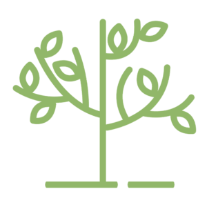 Guerrero Fertilizantes - Ico suelo